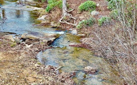 LT209 Harris Ridge Drive Ellijay GA 30540