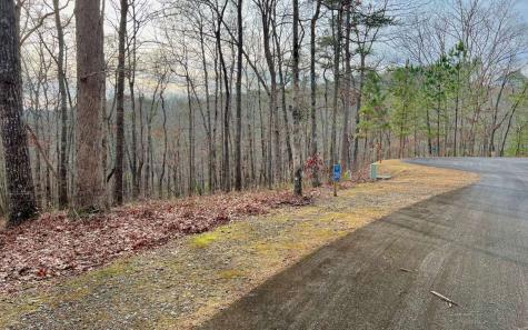 LT209 Harris Ridge Drive Ellijay GA 30540