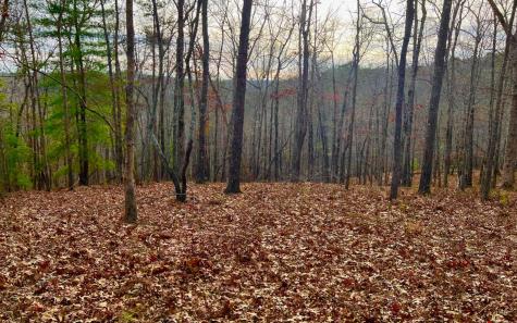 LT209 Harris Ridge Drive Ellijay GA 30540