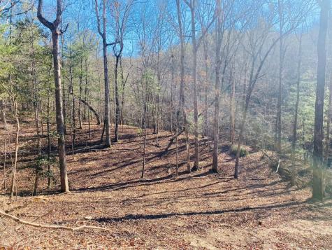 86 Sparks Road Murphy NC 28906