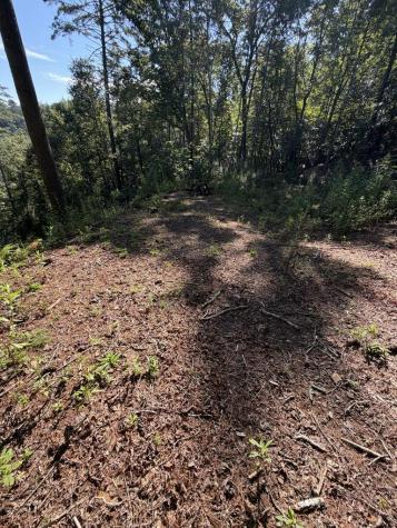 84 Nottley Ridge Road Murphy NC 28906