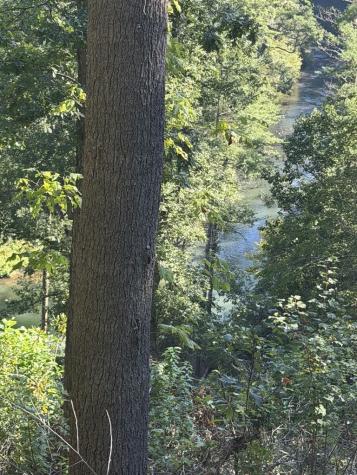 84 Nottley Ridge Road Murphy NC 28906