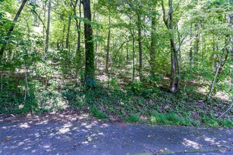 Lot 6a Kilpatrick Point Hayesville NC 28904