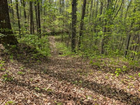 348 Atali Circle Murphy NC 20906