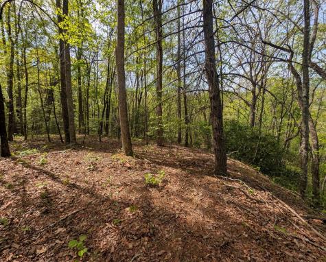 348 Atali Circle Murphy NC 20906