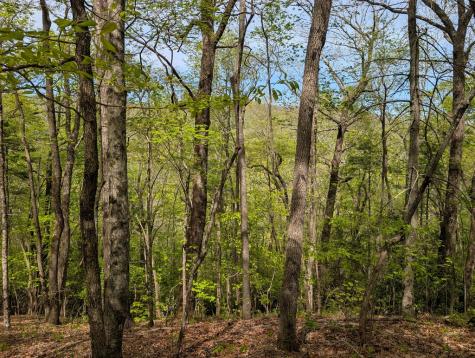 348 Atali Circle Murphy NC 20906