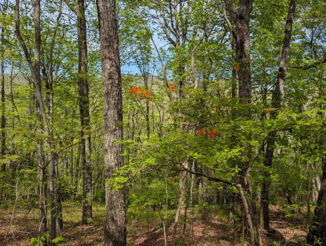 348 Atali Circle Murphy NC 20906