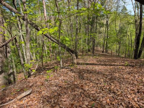 348 Atali Circle Murphy NC 20906