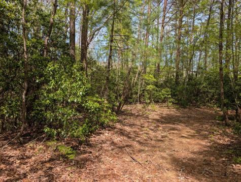 348 Atali Circle Murphy NC 20906