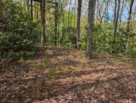 348 Atali Circle Murphy NC 20906