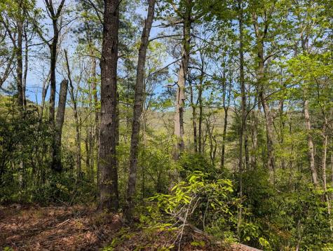 348 Atali Circle Murphy NC 20906