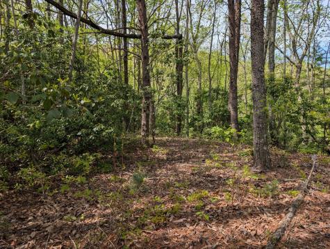 348 Atali Circle Murphy NC 20906