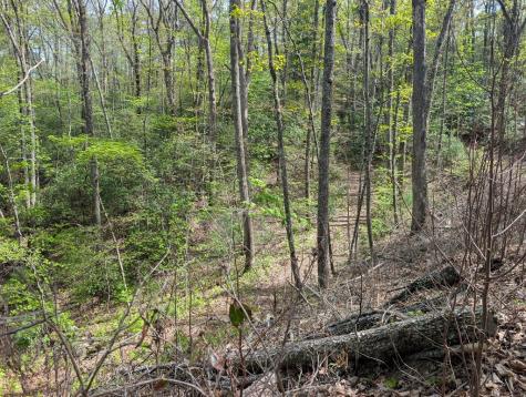 348 Atali Circle Murphy NC 20906