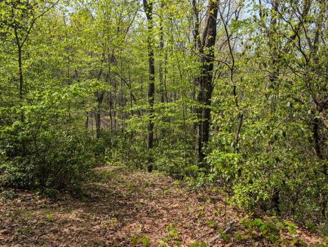 348 Atali Circle Murphy NC 20906