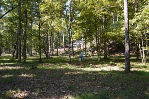 Tbd River Run Way Hayesville NC 28904