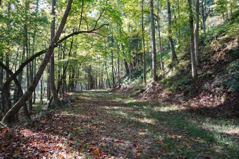 Tbd River Run Way Hayesville NC 28904