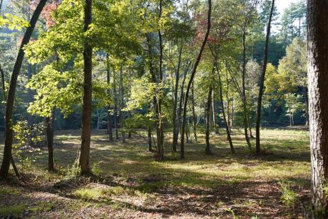 Tbd River Run Way Hayesville NC 28904