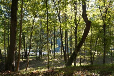 Tbd River Run Way Hayesville NC 28904