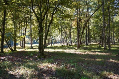 Tbd River Run Way Hayesville NC 28904