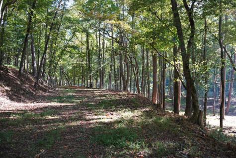 Tbd River Run Way Hayesville NC 28904