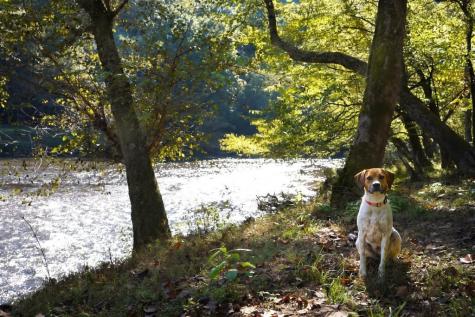 Tbd River Run Way Hayesville NC 28904