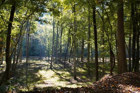 Tbd River Run Way Hayesville NC 28904