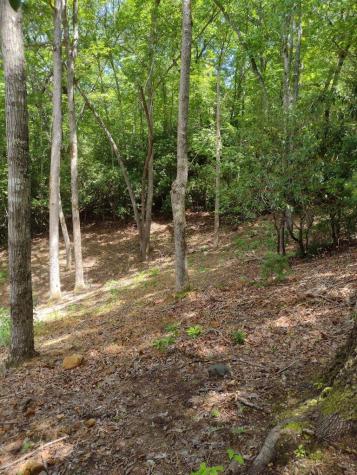 0 Radiant Cove Brasstown NC 28902