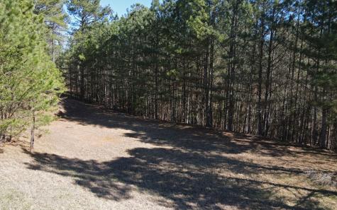 Lt 38 Sanctuary Drive Blairsville GA 30512