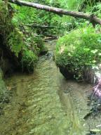 00 Vincent Colvin Road Robbinsville NC 28771