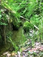 00 Vincent Colvin Road Robbinsville NC 28771