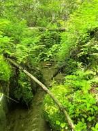 00 Vincent Colvin Road Robbinsville NC 28771