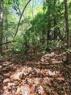 00 Vincent Colvin Road Robbinsville NC 28771