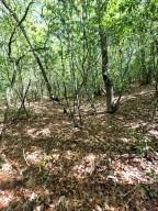 00 Vincent Colvin Road Robbinsville NC 28771