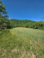 00 Vincent Colvin Road Robbinsville NC 28771
