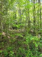00 Vincent Colvin Road Robbinsville NC 28771