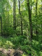 00 Vincent Colvin Road Robbinsville NC 28771