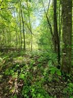 00 Vincent Colvin Road Robbinsville NC 28771