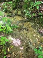 00 Vincent Colvin Road Robbinsville NC 28771