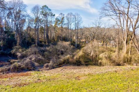 Tr-a First Avenue East Ellijay GA 30539