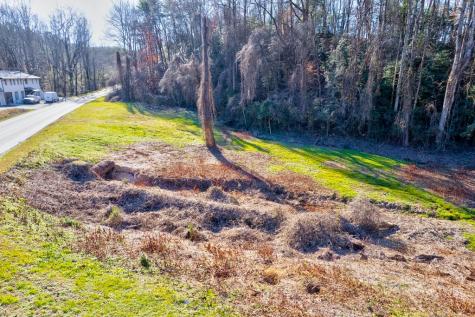 Tr-a First Avenue East Ellijay GA 30539