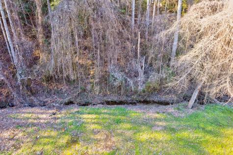 Tr-a First Avenue East Ellijay GA 30539