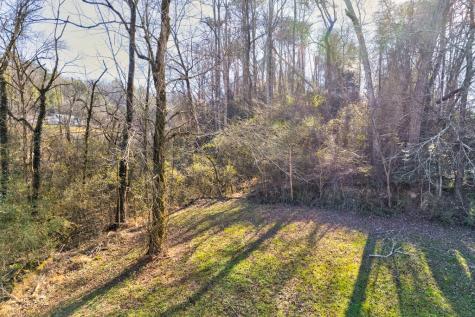 Tr-a First Avenue East Ellijay GA 30539