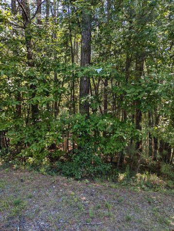 168 Highland Woods Road Copperhill TN 37317