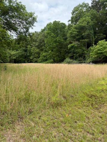 00 Patton Drive Hayesville NC 28904