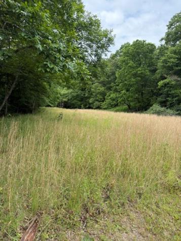 00 Patton Drive Hayesville NC 28904