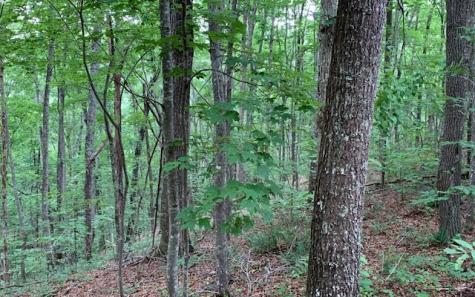 Lot 18 Bruce Mountain Blairsville GA 30512
