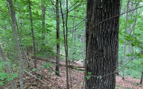 Lot 18 Bruce Mountain Blairsville GA 30512