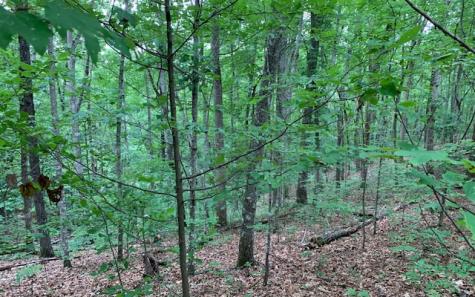 Lot 18 Bruce Mountain Blairsville GA 30512