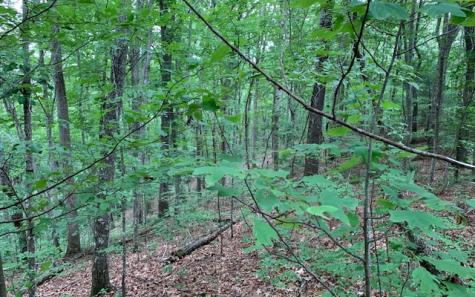 Lot 18 Bruce Mountain Blairsville GA 30512