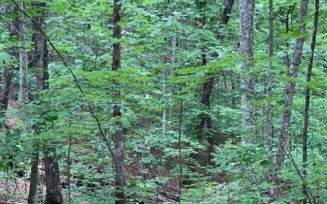 Lot 18 Bruce Mountain Blairsville GA 30512